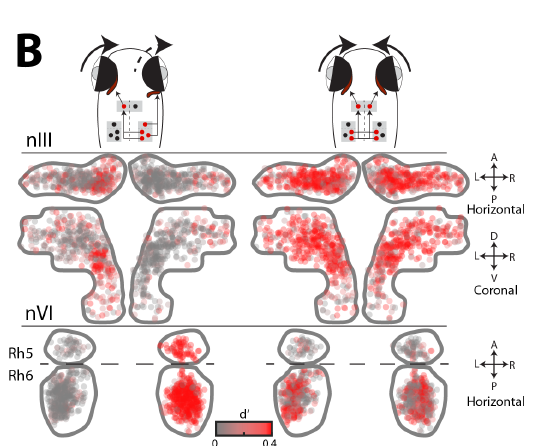 Charlie Dowell tweet media