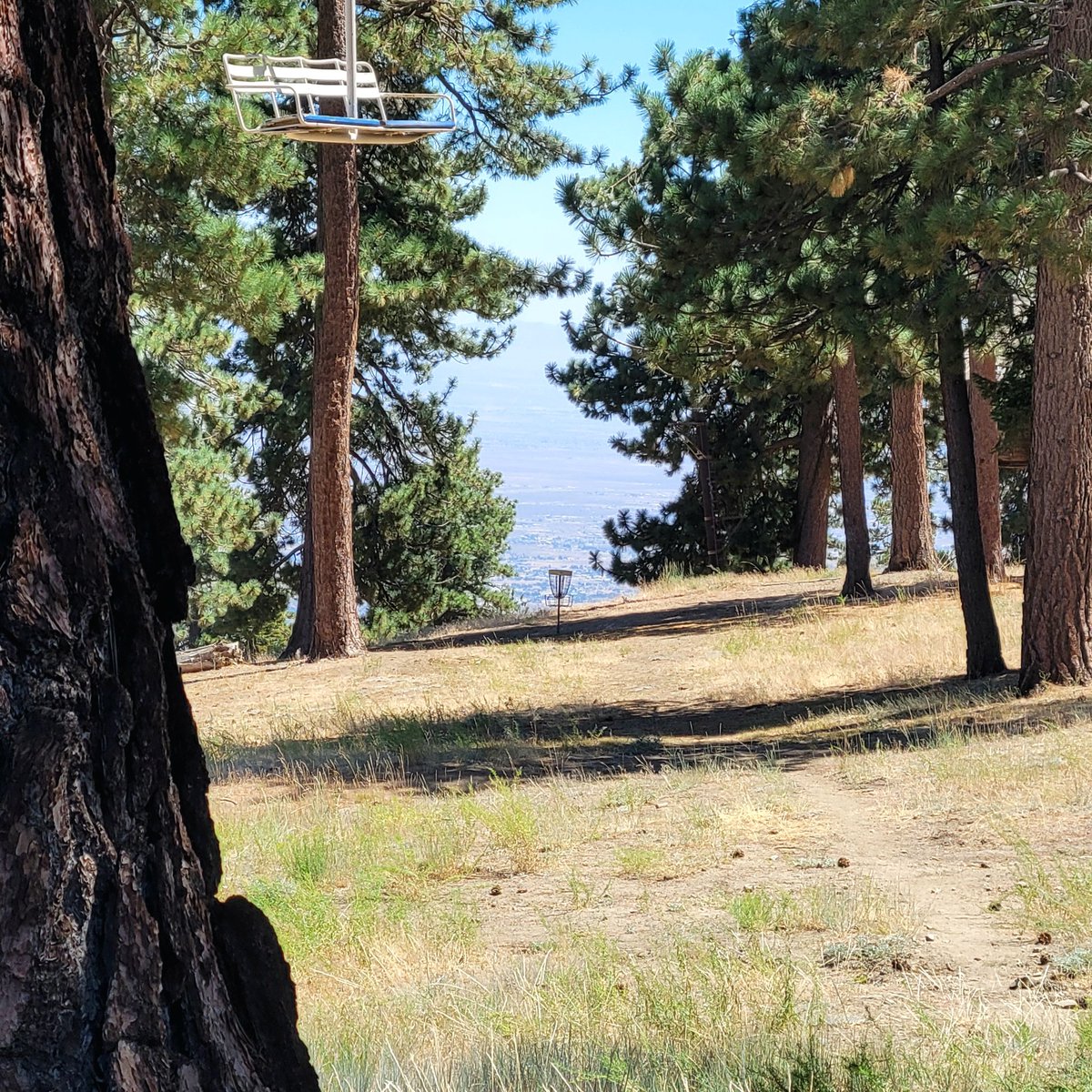 rrdiscgolf's tweet photo. At 6000ft elevation, your discs don't act like themselves. 

Sky High Disc Golf course 🏔 https://t.co/1EZVBQ7Wo5