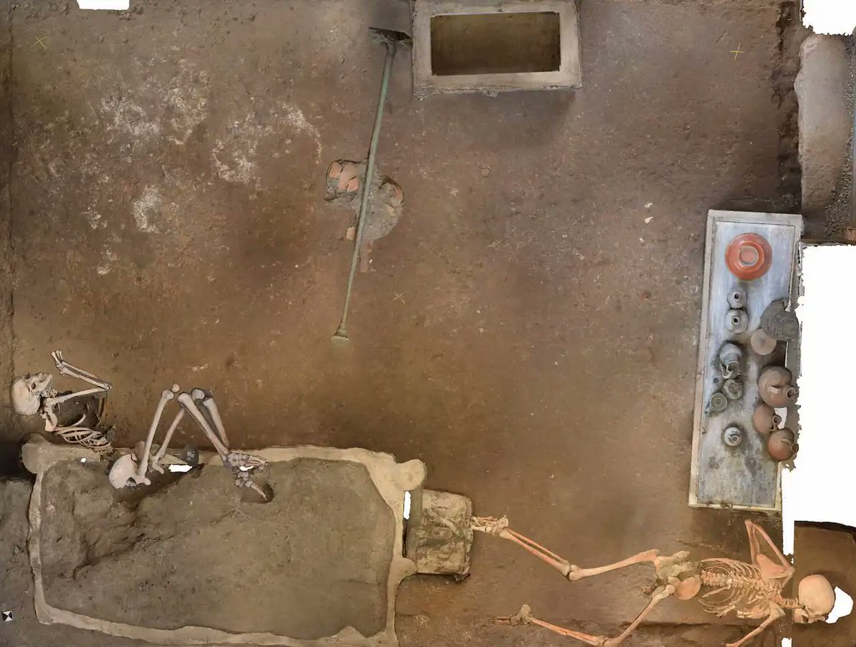 Pompeya nos fascina pero también nos sobrecoge.
Las excavaciones de la casa en la Regio IX Insula 10.1, han sacado a luz dos nuevas víctimas en la misma habitación donde hace unos días disfrutábamos con los calcos en yeso de un cofre de madera.
Vida y muerte bajo el volcán🧵👇