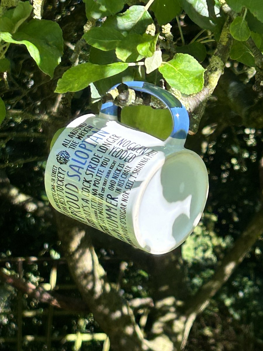 A bit more o’this sunshine n they ull be ripe for picking 😉