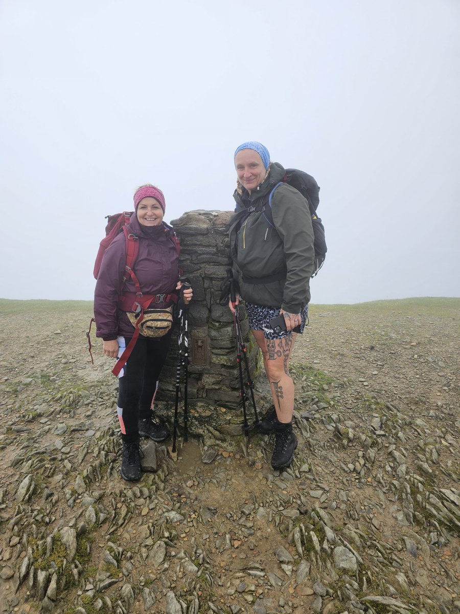 ⛰️🌳🐈‍⬛ CathArtic 🐈🐓🫖 tweet media