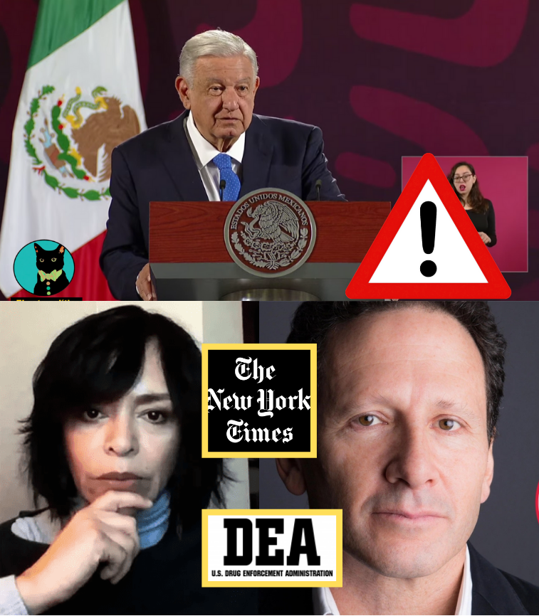 El gato político tweet media