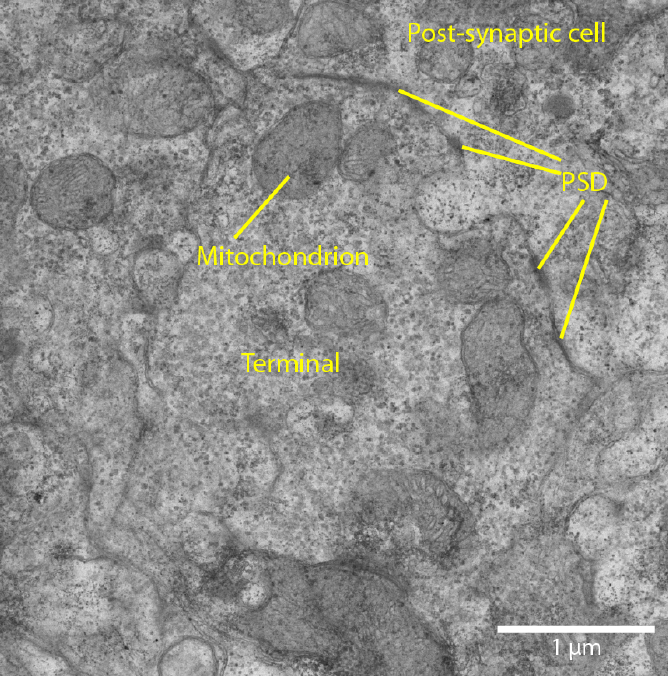 Charlie Dowell tweet media