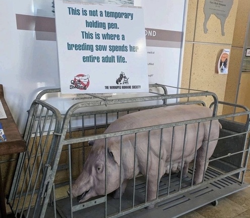 Vegan Future (@veganfuture) on Twitter photo 