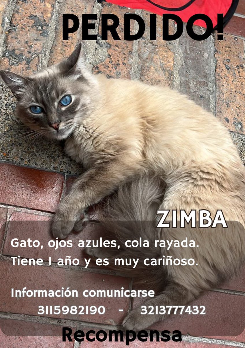 ‼️🚨‼️🚨POR FAVOR RT🚨‼️🚨‼️
Se perdió por el sector de Cedritos
