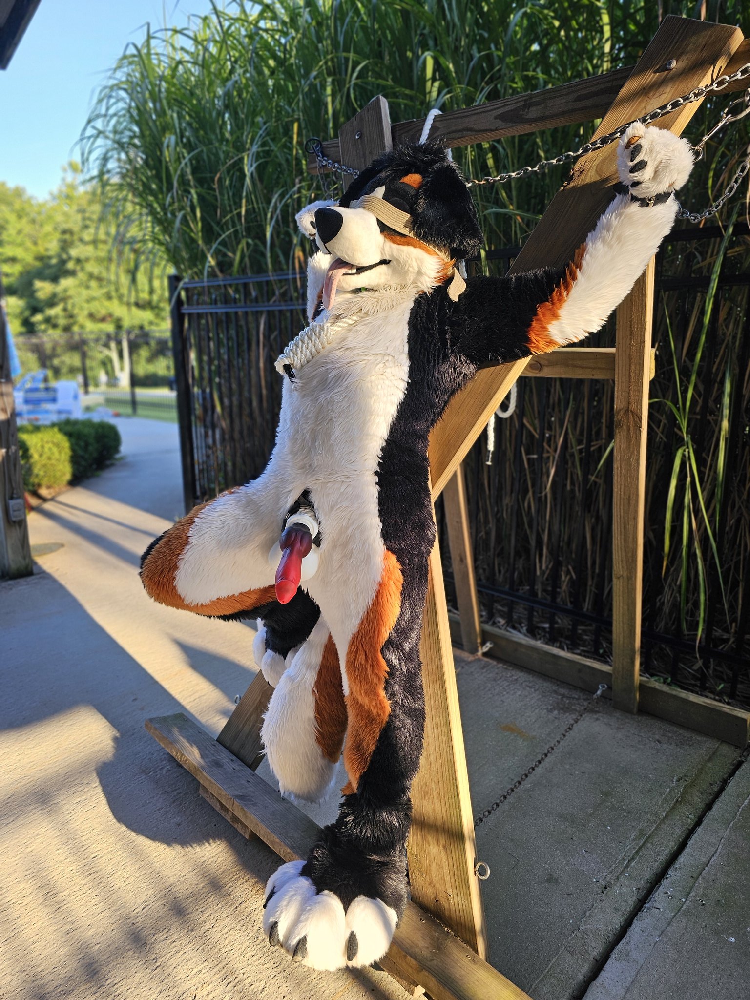 1 pic. Blindfolded, gagged, and caged with a massive strap-on in a high traffic area. Go ahead and struggle all you want, pup. You're tonights entertainment-- willing or not. 🐶🔐 #triggerwarning #nsfw #murrsuitmonday #cnc #edgeplay https://t.co/WTzob9U3eI