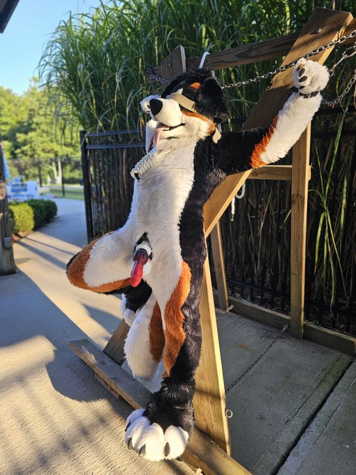 🔞1-800-🅱️RK-ALOT🔞 - 1 pic. Blindfolded, gagged, and caged with a massive strap-on in a high traffic area. Go ahead and struggle all you want, pup. You're tonights entertainment-- willing or not. 🐶🔐 #triggerwarning #nsfw #murrsuitmonday #cnc #edgeplay https://t.co/WTzob9U3eI