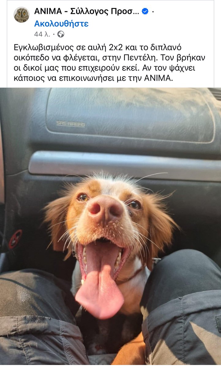 PandorasBox13_'s tweet photo. Αν τον αναζητά κάποιος να επικοινωνήσει με ΑΝΙΜΑ #Φωτια_τωρα #φωτιά #Πυρκαγια #φωτια_πεντελη #Πεντελη https://t.co/k6rT7NfayW