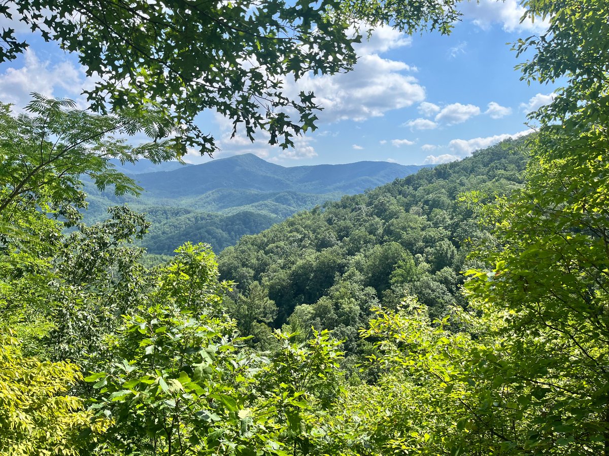 SmokyMTS2024's tweet photo. view from the mountain.. of the mountain 🏔️ https://t.co/eg2z3okxPh