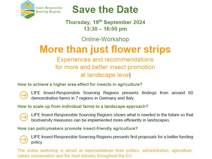 Save the date: Workshop "More than just flower strips! - Experiences and recommendations for more and better insect promotion at landscape level", 19.09.2024 1:30 pm – 4 pm insect-responsible.org/en/more-than-j…