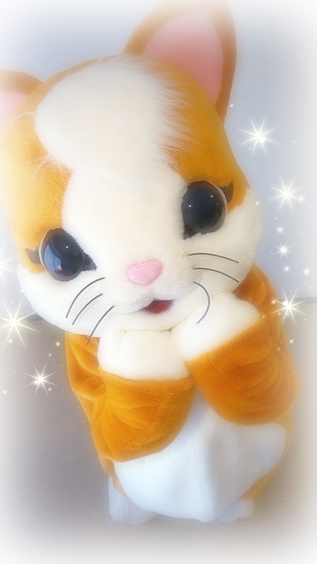 ねこきち つねきち (@mofumofusukiii) / X