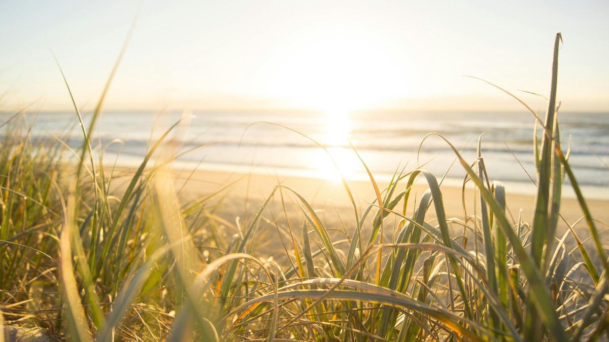 🌞Het is weer tropisch warm vandaag! Ook morgen wordt warm weer voorspeld. Of je nu geniet van een weekje vakantie of weer aan het werk bent, houd je hoofd koel! 

💧| Drink voldoende
💦| Houd jezelf koel
🏡| Houd de woning koel
🧑‍🤝‍🧑| Zorg voor elkaar