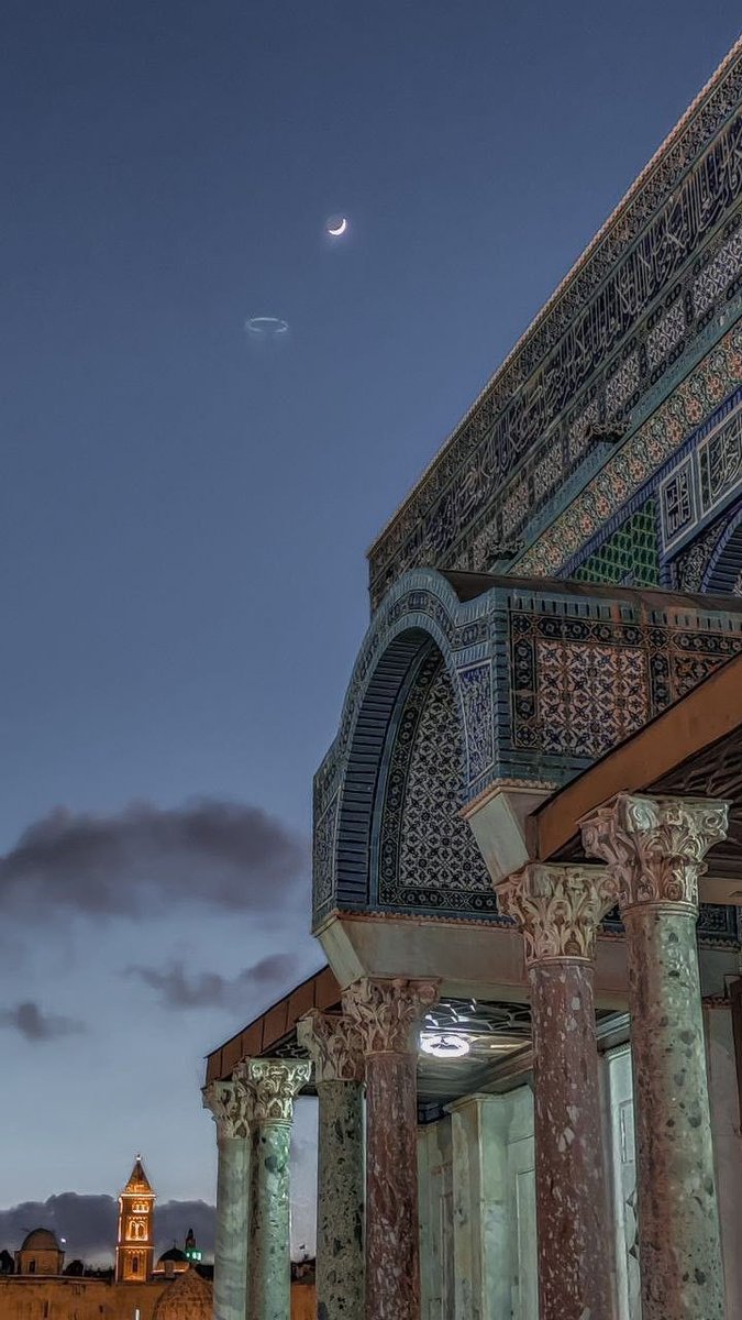 🇵🇸. (@hiddenartst) on Twitter photo 