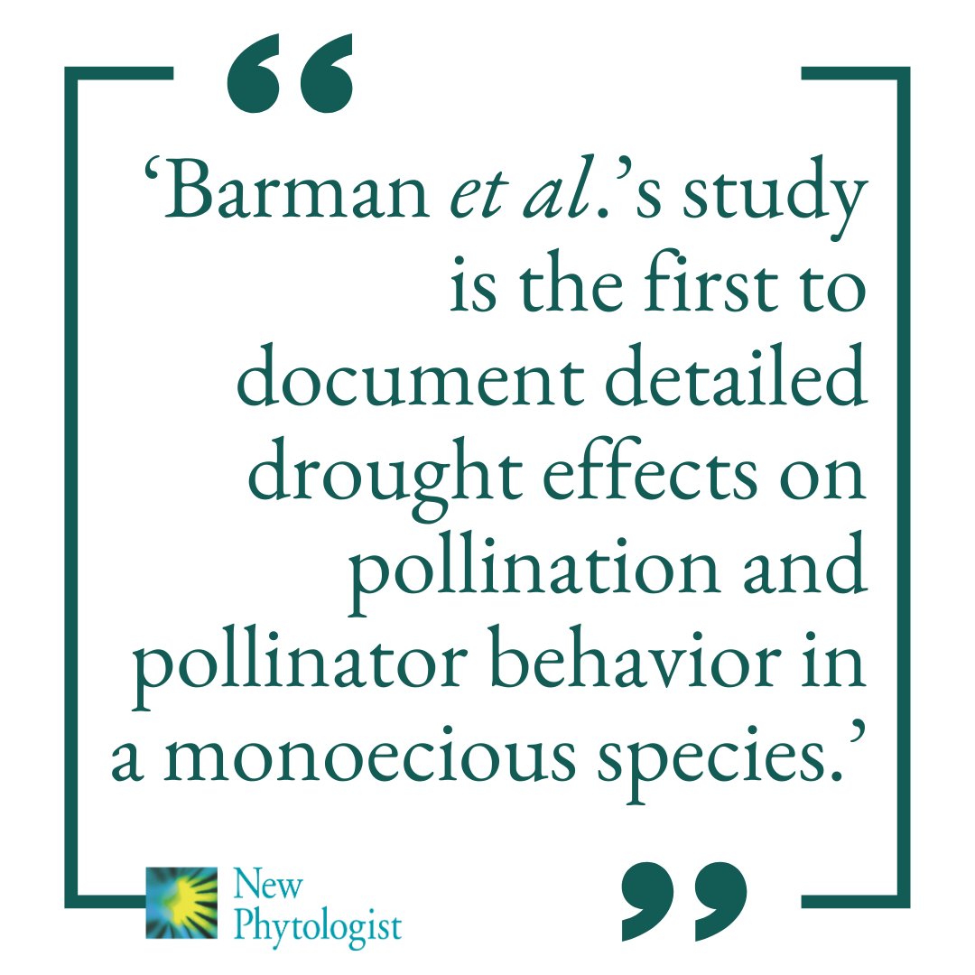 Hung out to dry: Diminished flowers offer less to pollinators and us 🥀🐝

📖 nph.onlinelibrary.wiley.com/doi/10.1111/np…

#Commentary by Stephen L. Buchmann &amp; Daniel R. Papaj highlighting the recent work by Barman et al.

📖 nph.onlinelibrary.wiley.com/doi/10.1111/np…