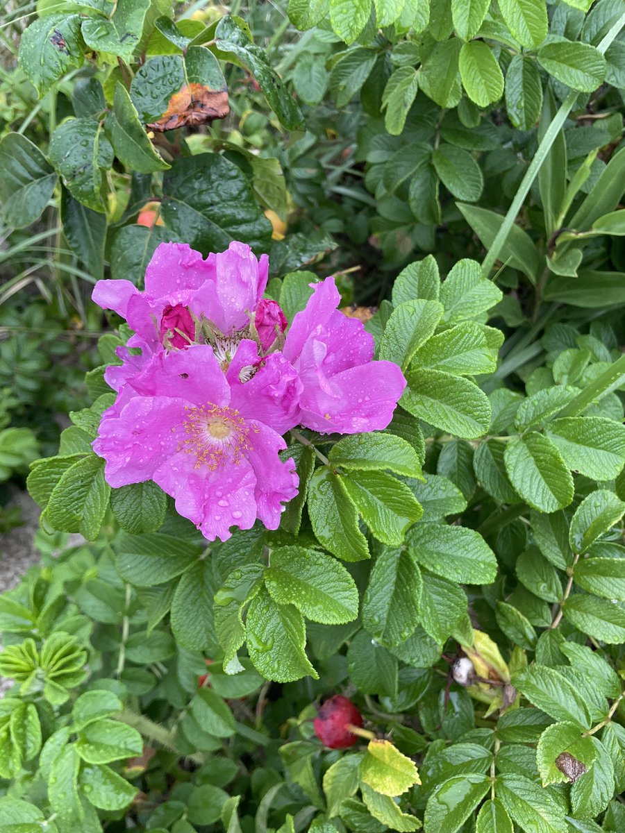 Good morning! 💖