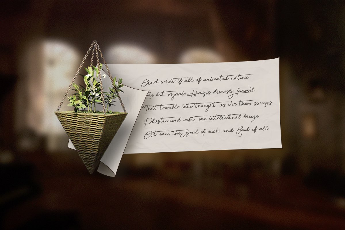 𝗩𝗘𝗥𝗧𝗜𝗡 tweet media