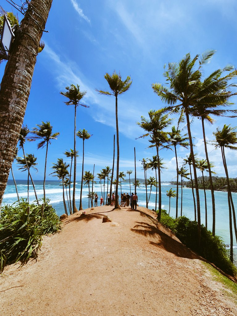 Traveling_SAs's tweet photo. 📍Coconut Hill in Mirissa, Sri Lanka 🥥🇱🇰
#coconuthill #coconuthillmirissa #mirissa #SriLanka #coconut #coconuttree #coconuttreehill #srilankaview #Views #ocean #beautifulsrilanka #travel #traveling #coertzensabroad https://t.co/WiXY01bH86