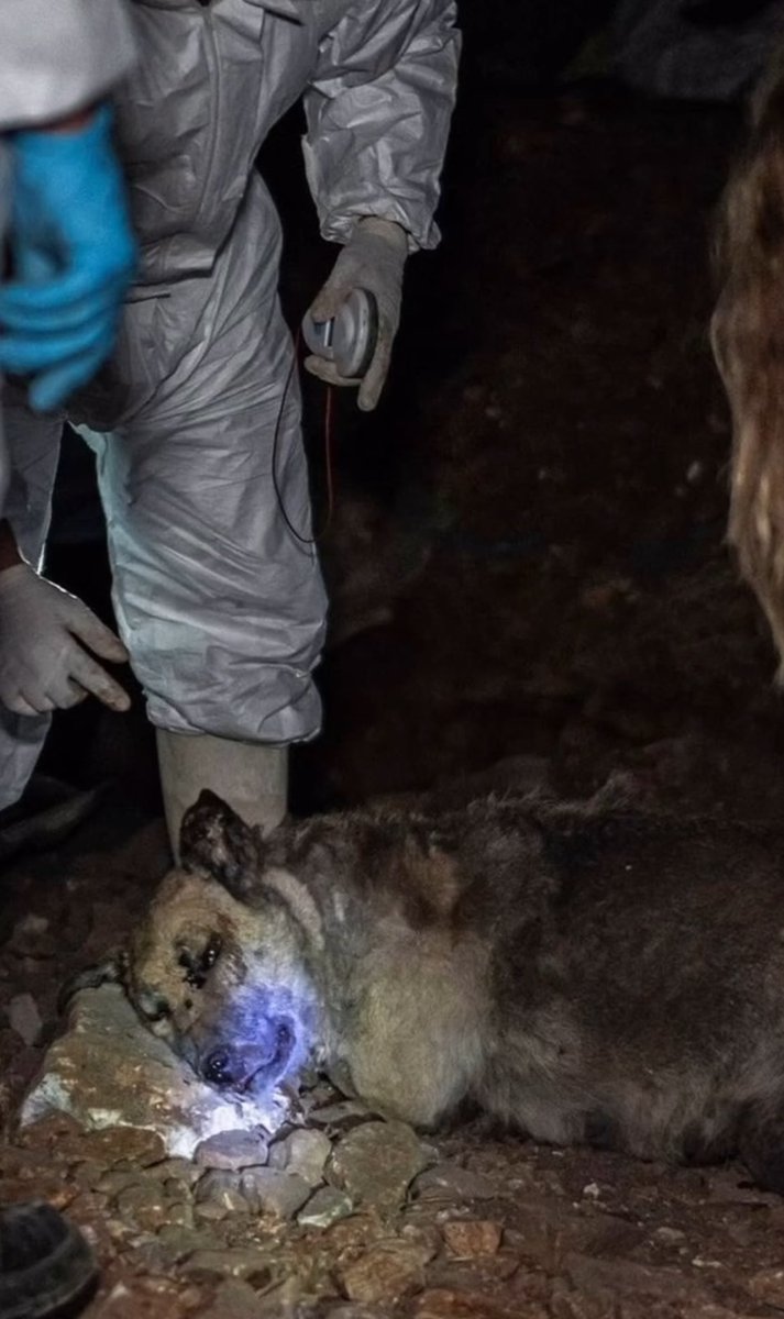 <a href="/bpthaber/">BPT</a> #Turkiyedekatliamvar