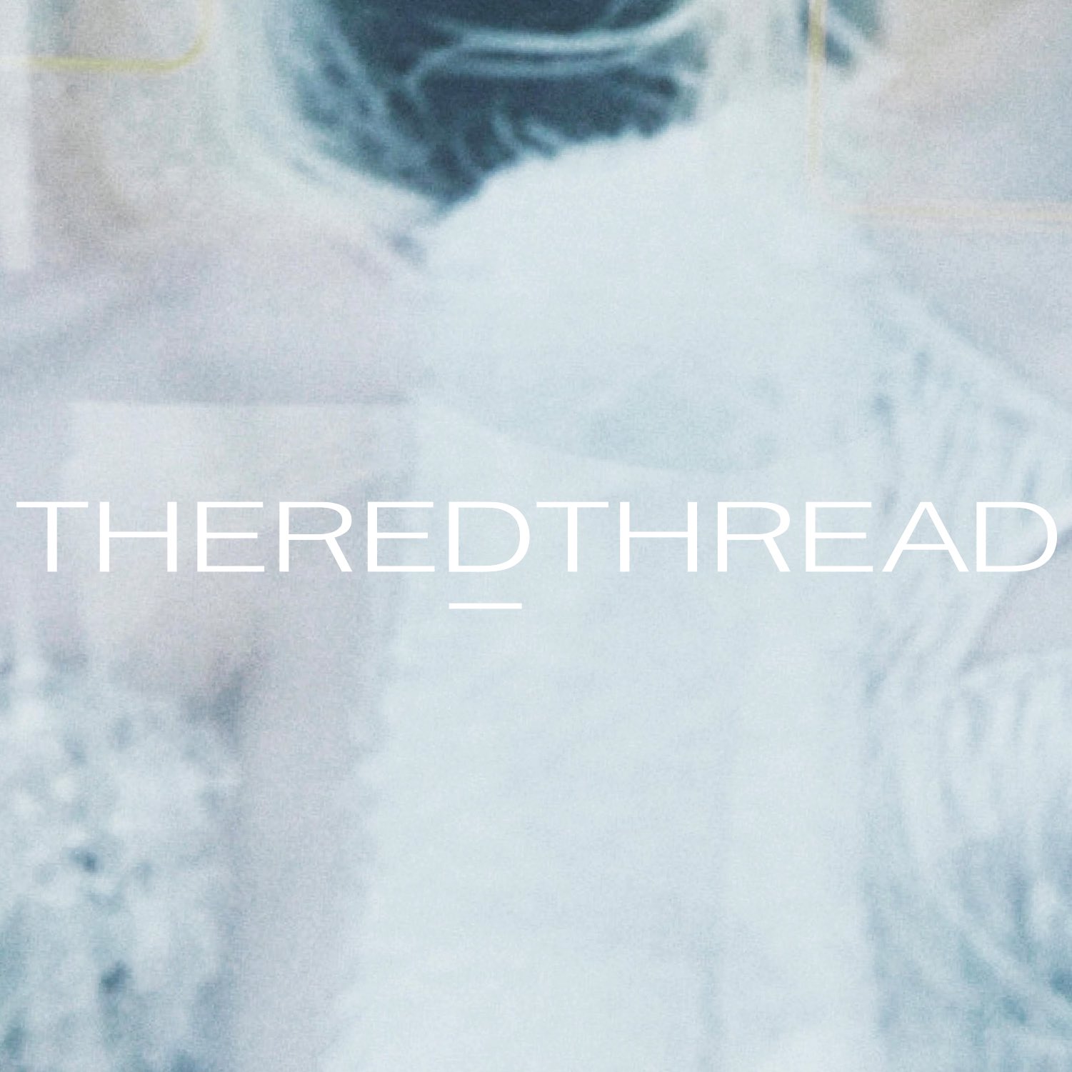 THEREDTHREAD ザレッドスレッド THEREDTHREAD / ザレッドスレッド】S symbol denim2