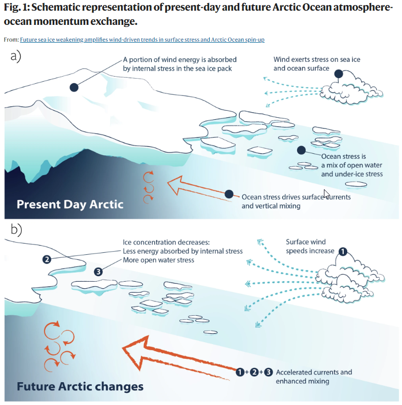 NatureComms's tweet image. New study by Muilwijk et al. uses #ClimateModels and shows that #Arctic #SeaIce will decline and, combined with stronger winds, will lead to enhanced #ocean surface stress and a more energetic future #ArcticOcean. nature.com/articles/s4146…