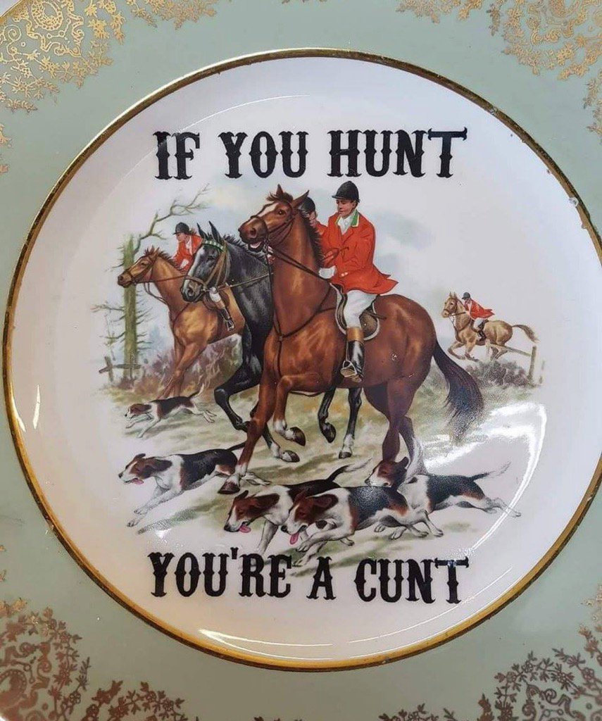 D_MQuail's tweet photo. @Eyeswideopen69 Dear #Foxhunters
A counter argument..... ๐ https://t.co/TJ6ivfNqjJ