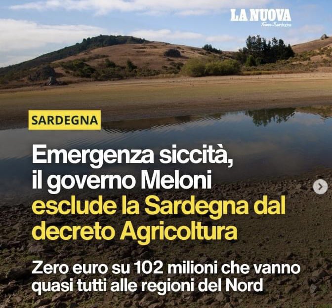 Franciscu Sedda tweet media