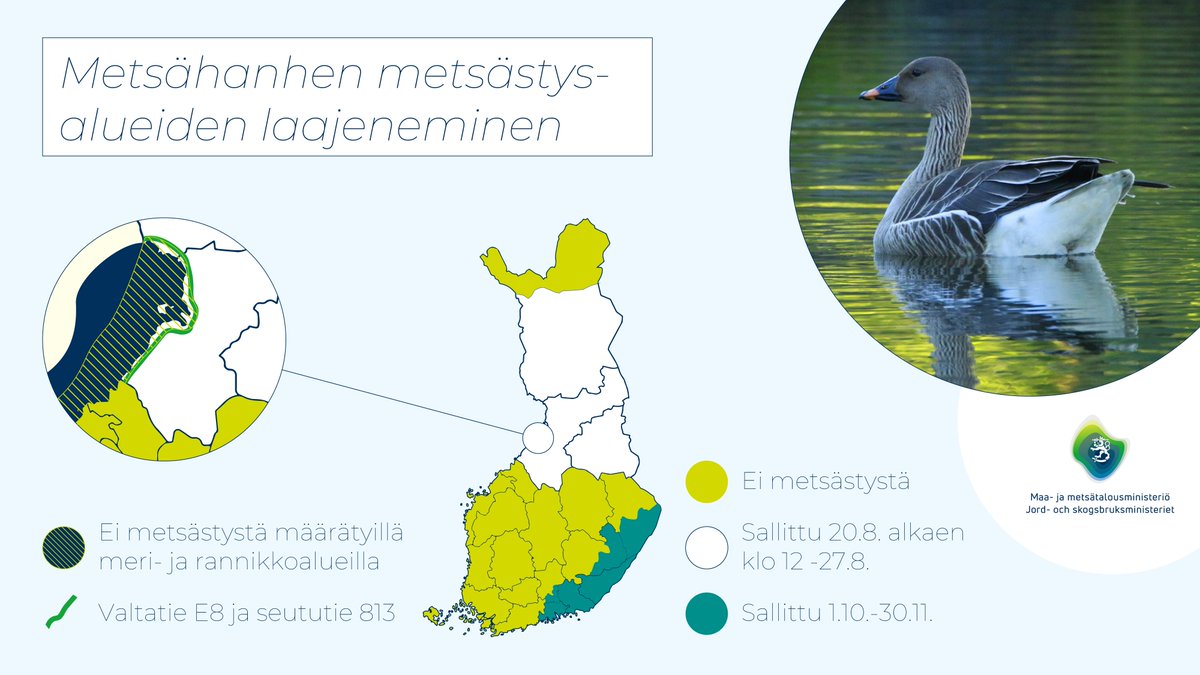 Metsähanhen metsästys kielletään suuressa osassa maata alkavana metsästysvuonna. <a href="/mmm_fi/">MMM</a> muutti esitettyä metsästyskieltoa lausuntokierroksen perusteella: kielto jatkuu myös Ylä-Lapissa Inarin, Enontekiön ja Utsjoen kunnissa. Katso koko tiedote ja asetus: mmm.fi/-/metsahanhen-…