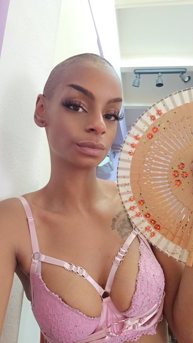 Go ahead, tell me how good I look and then send me everything you've got subby boy   Findomnl findom<a href="/tag/xbizamsterdam"class="tags"><span>#xbizamsterdam</span></a>