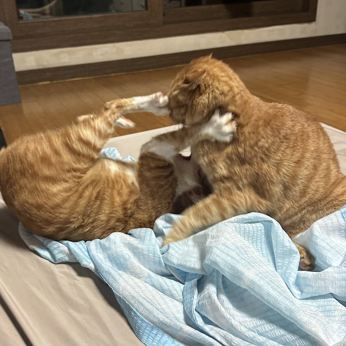 치열한 하위쟁탈전..