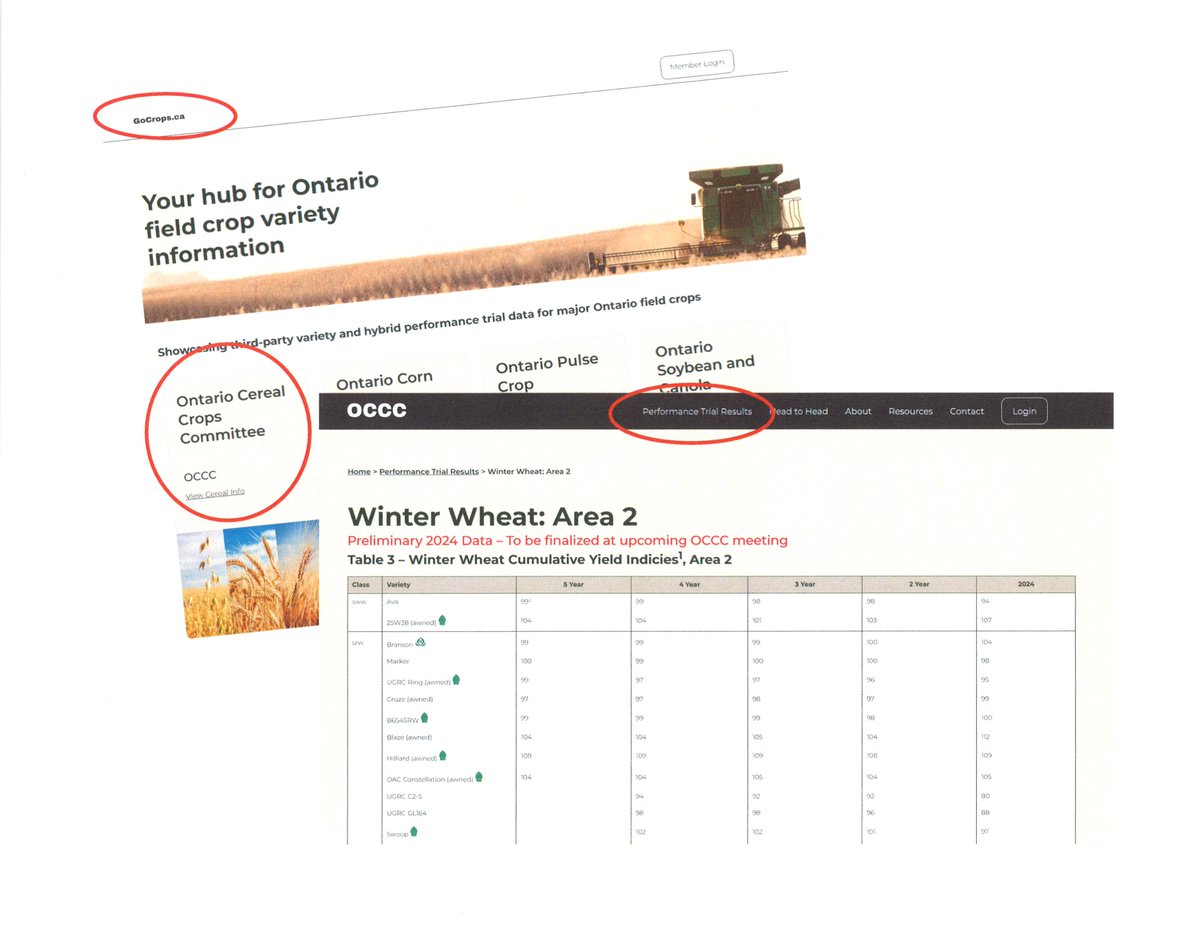 Hey #ontag! DRAFT AREA 2 winter wheat data is now available on gocrops.ca More area data available later this week. #CheckItOut <a href="/JoFollings/">Joanna Follings</a> <a href="/WheatPete/">Peter Johnson</a>