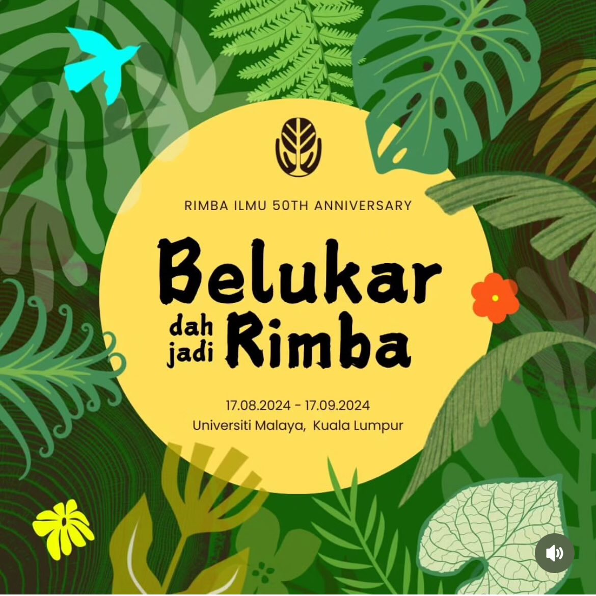 Macaranga tweet media