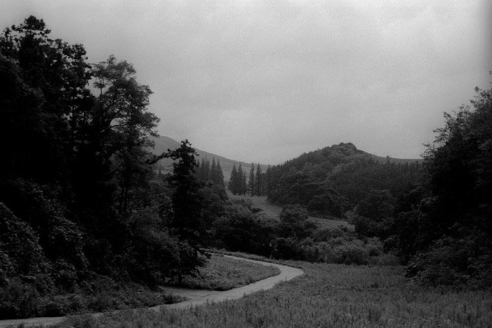 Jongwon. tweet media