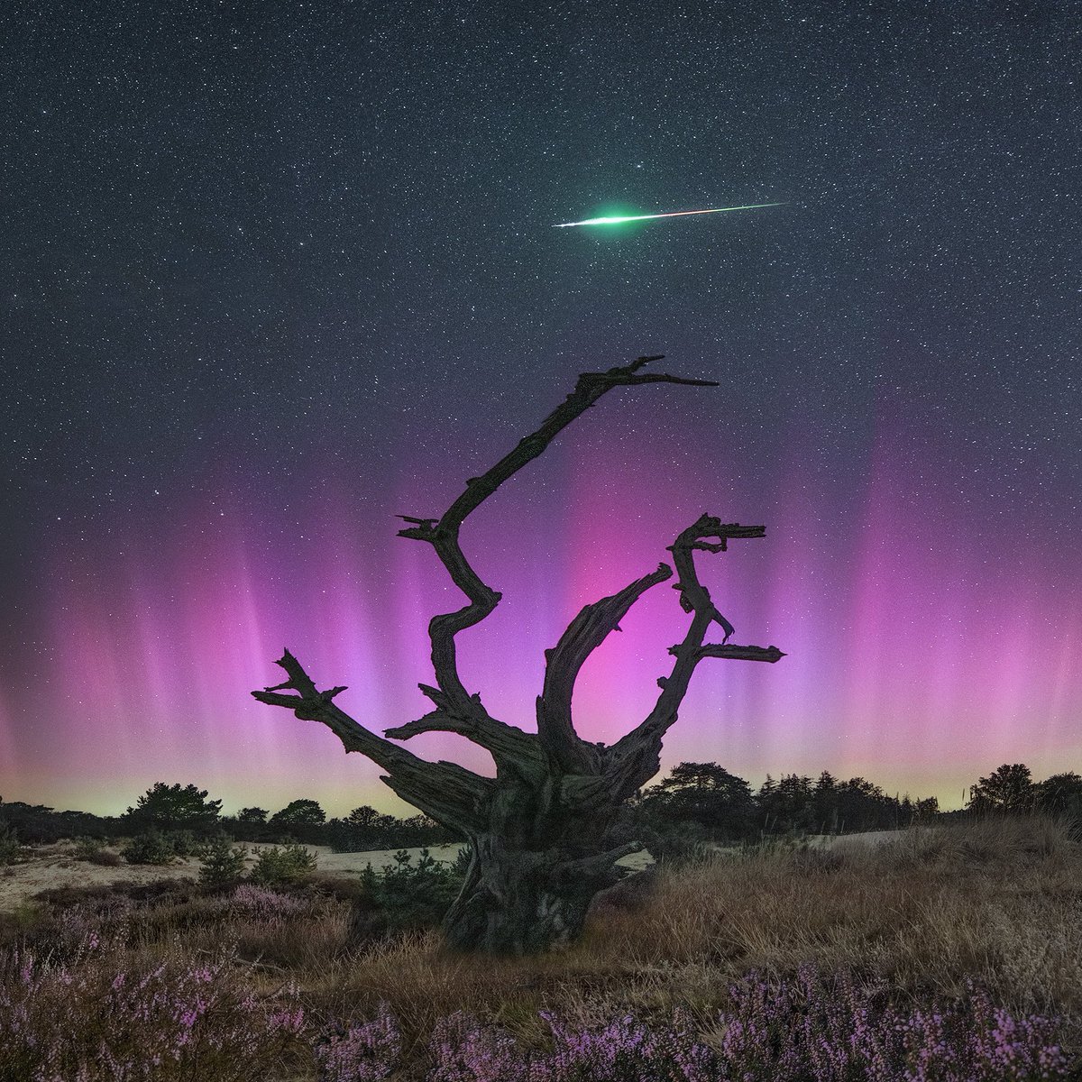 Parc Astronòmic Prades tweet media