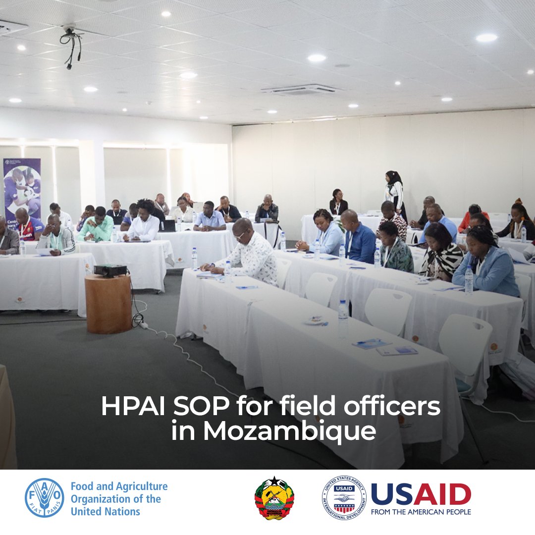 Today marks the start of our workshop on HPAI SOPs for animal health field officers in Mozambique! A crucial step in strengthening practices to prevent and eliminate avian influenza. #HPAI #OneHealth #AvianInfluenza #FAO #USAID