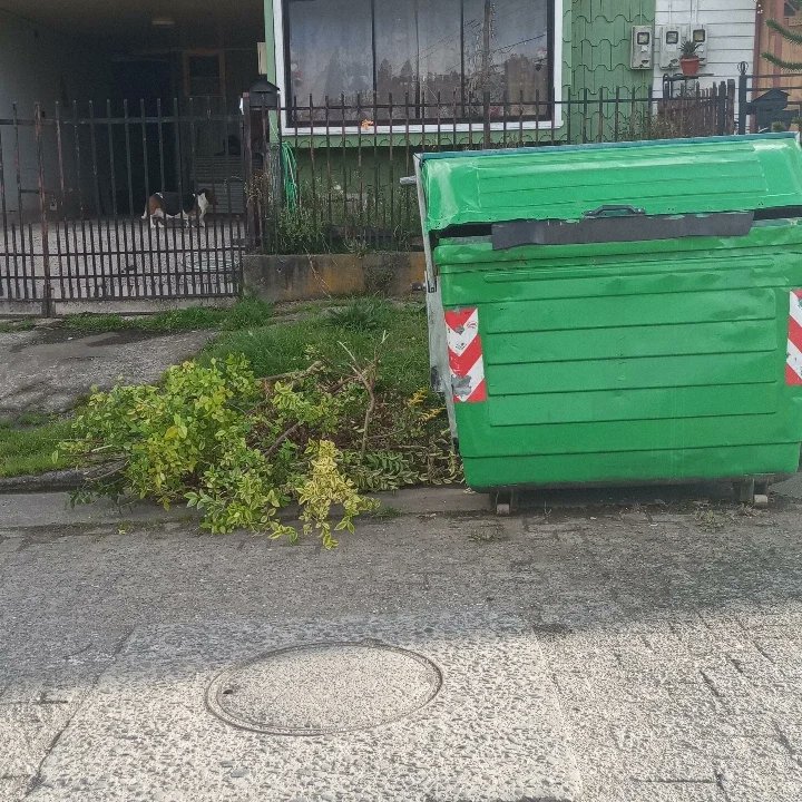Cuando quieres que tus residuos verdes sean llevados correctamente por el municipio.

Debes dejarlos al lado del vertedero como lo hizo aquí este o está vecina :)

Extrañas las limpiezas de playa? Coméntanos te leemos!

 #chiloe #castro #ancud #quellon #dalcahue #chonchi 👌