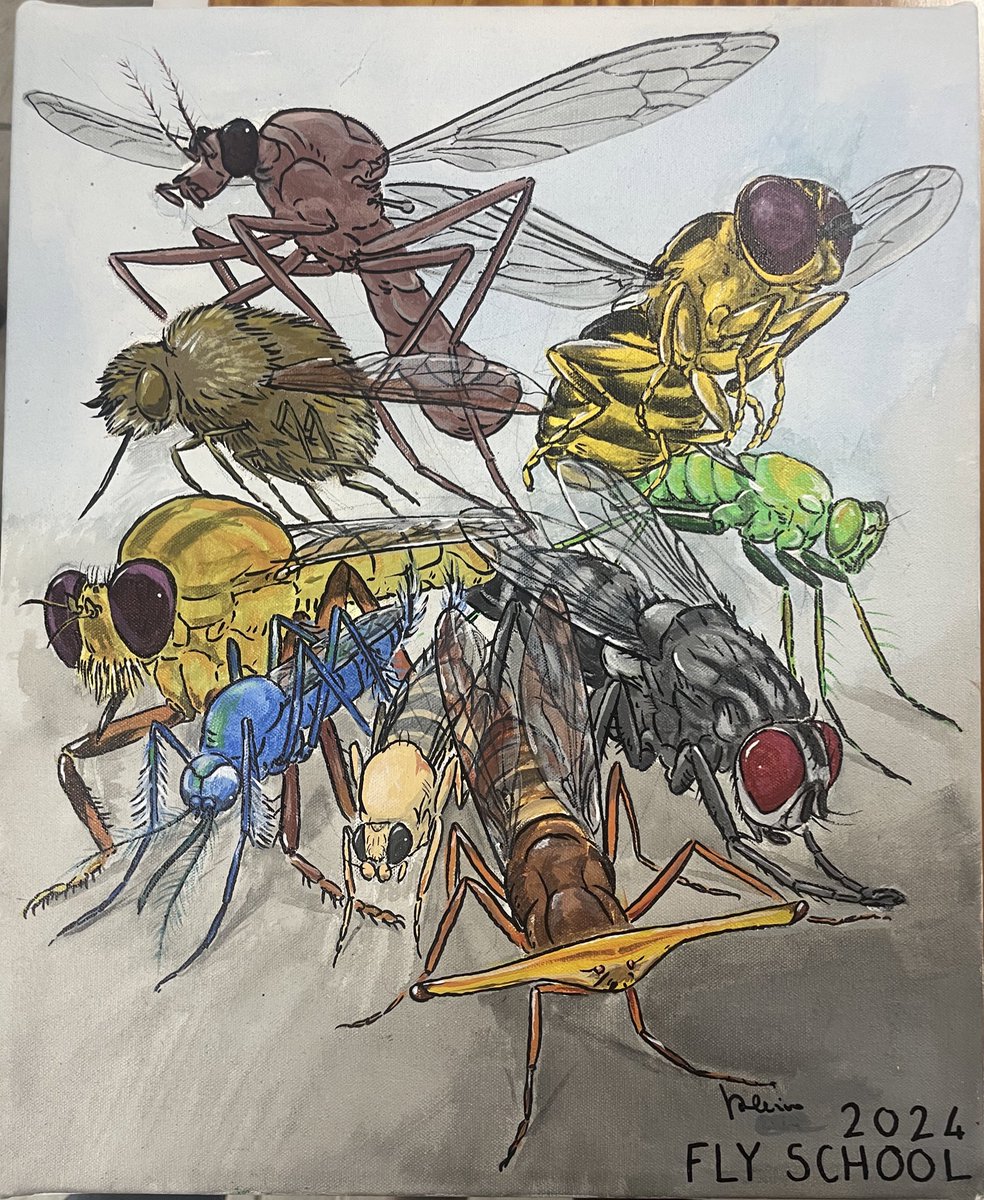 Dr Erica McAlister tweet media