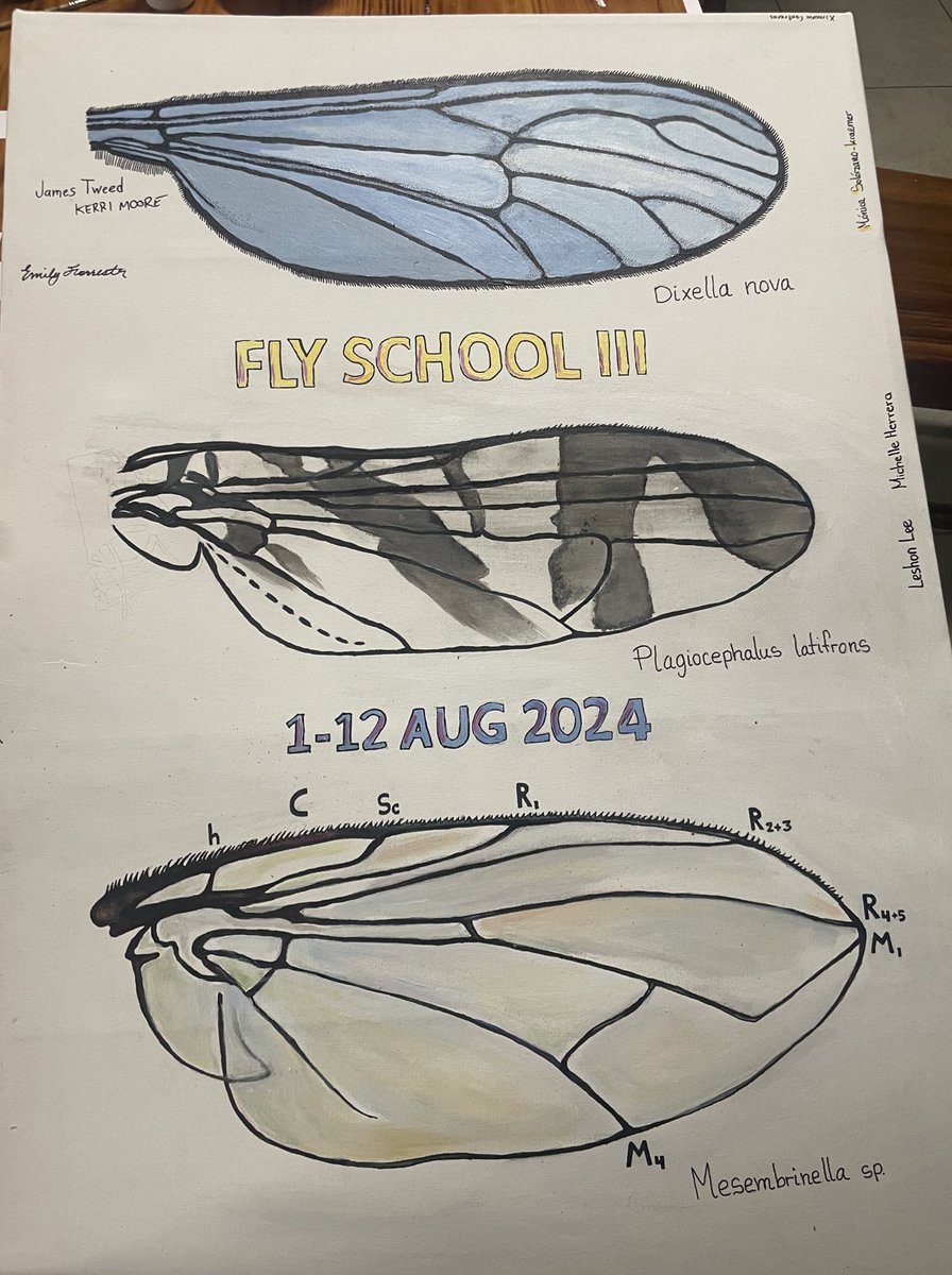 Dr Erica McAlister tweet media