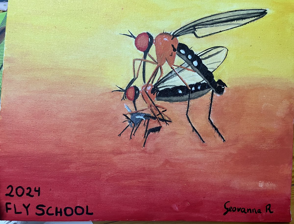 As #FlySchool24 finishes, the participants have turned their Dipterological skills to #art 

Call me impressed. @GeooRoojas painted the empids, <a href="/carusophora/">Valerio Caruso</a> painted the Dipteran Explosion, whilst the wings is a group composition! What talent 

<a href="/dipteracourse/">Fly School</a> <a href="/dipterists/">Dipterists Society</a>