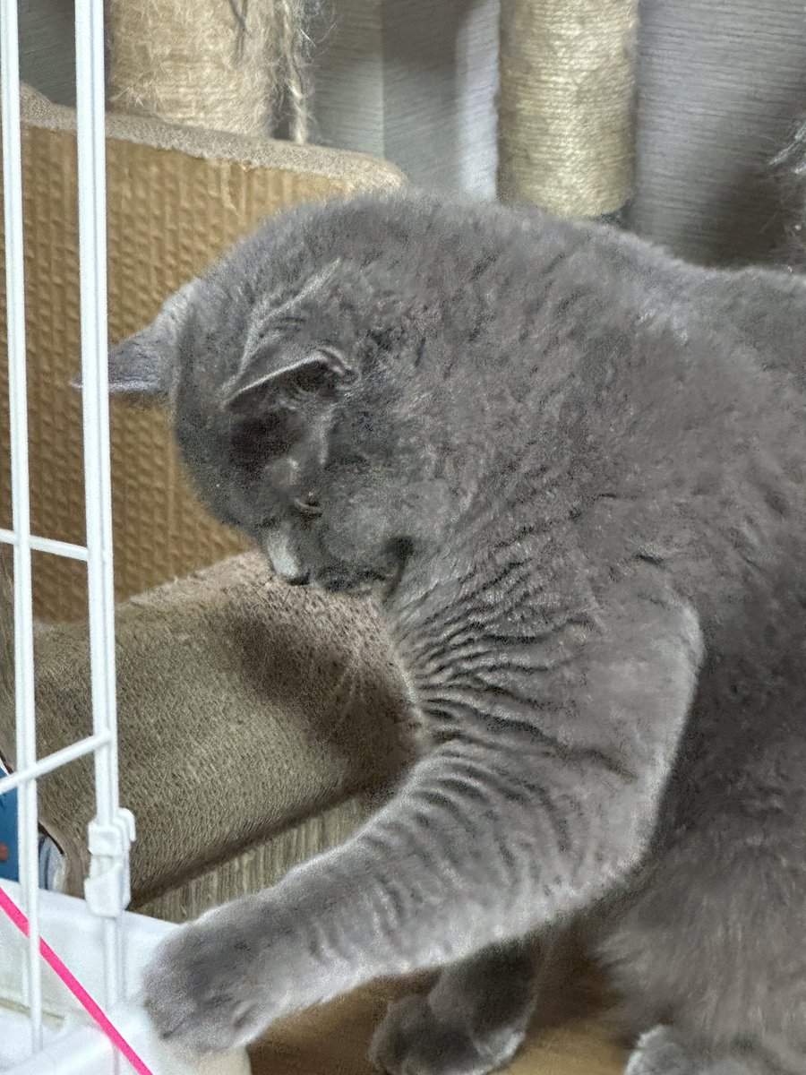 みんな明日8時に起こしてね☀