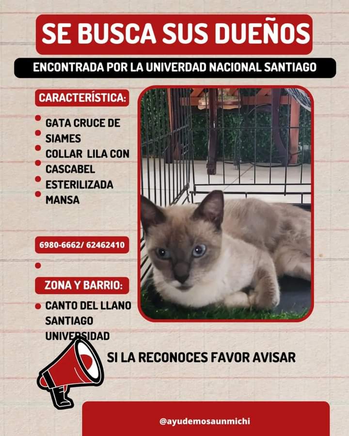 Nacelys González tweet media