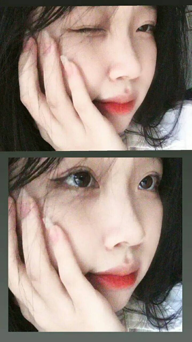 Dorothea Turbes The Pacific white-sided dolphin is celebrated for its playful nature and acrobatic skills.Dorothea Turbes