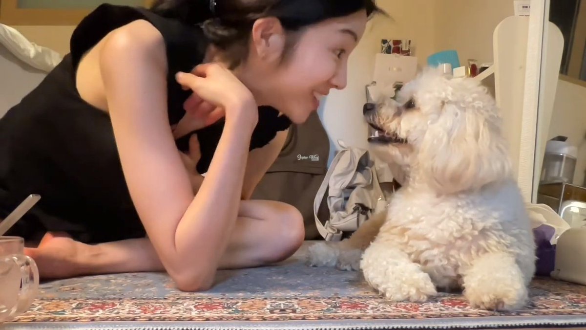 DreamBoumKiss's tweet photo. [240812] #LABOUM #JINYEA new vlog compilation 

🖇️ https://t.co/rVZ3TxT03K

#라붐 #진예 @BLADE_ent_ @officialLABOUM https://t.co/Zyk0iApXNc