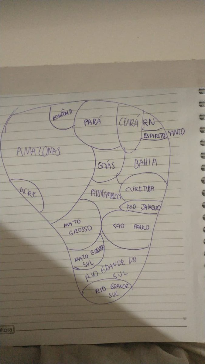Vinisevennn's tweet image. fui fazer o mapa do Brasil pela memória e saiu isso