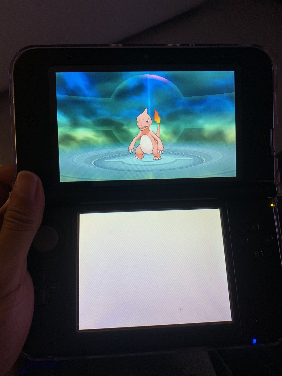 igorFC_Oficial's tweet image. Meu bebê evoluiu 😍 #pokemonomegaruby