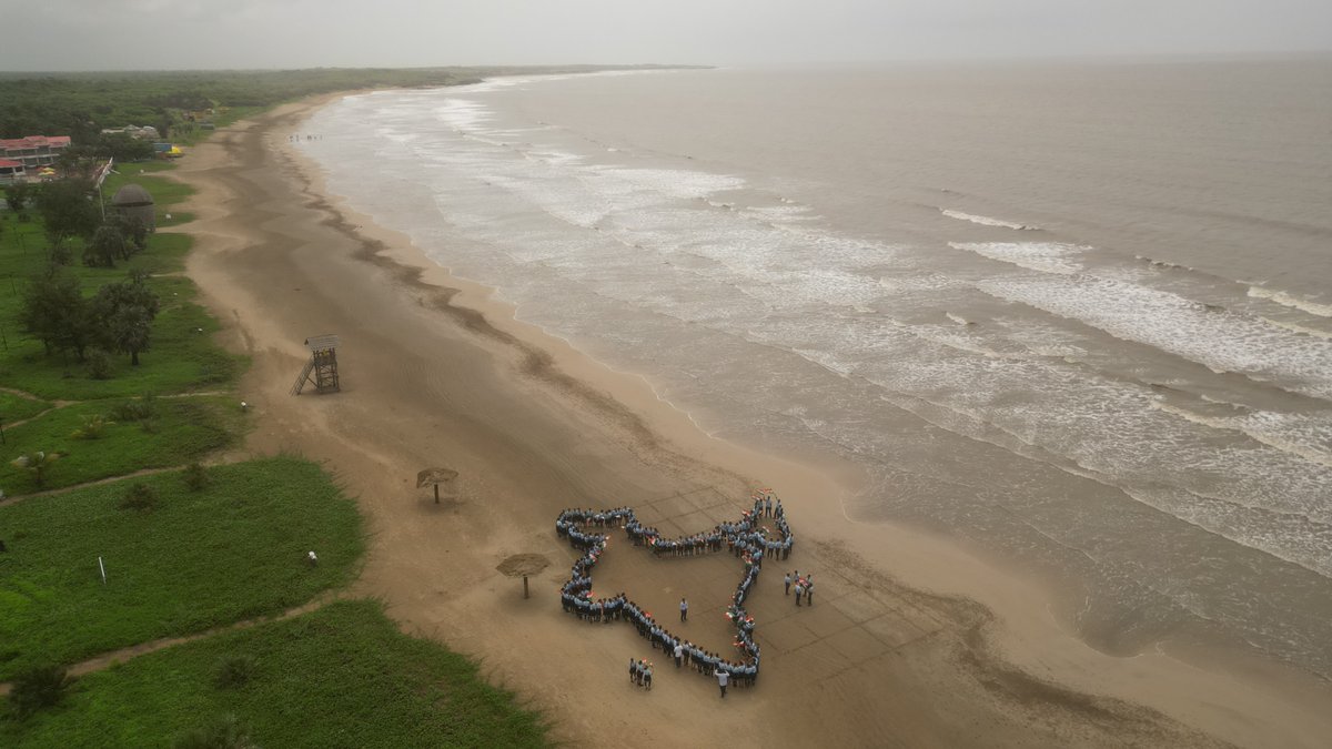 Collector, Diu tweet media