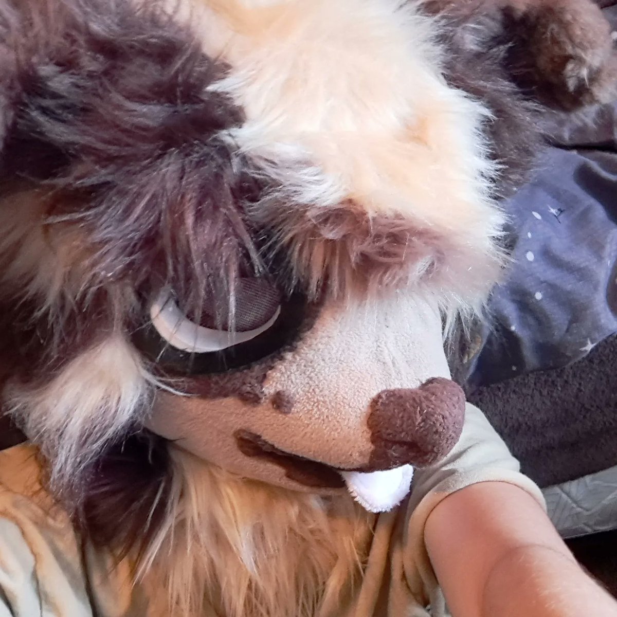 The_Corvin's tweet photo. And also heres MYYYY head hes so silly cute i luv himm <33 https://t.co/woWuhHSOsO