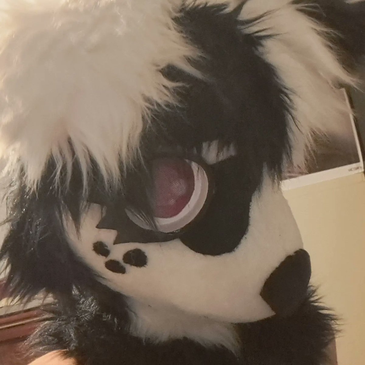 The_Corvin's tweet photo. I FINISHED A HEAD !!! shes a premade and will be available by Ultracon ‼️‼️‼️ shes fully lined, visibility is great, hella space in her muzzle, and is pretty lightweight!!! #furry #fursuit #fursuitmaker https://t.co/qj7iXznm4j