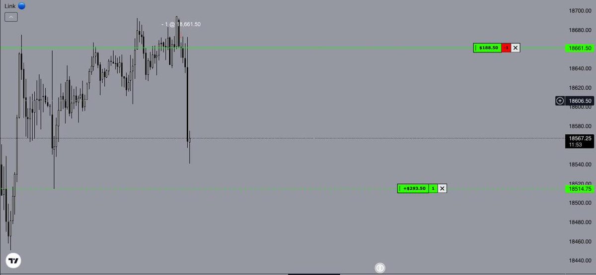 Cameron Murray tweet media