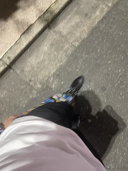 ブラリ解散一人旅