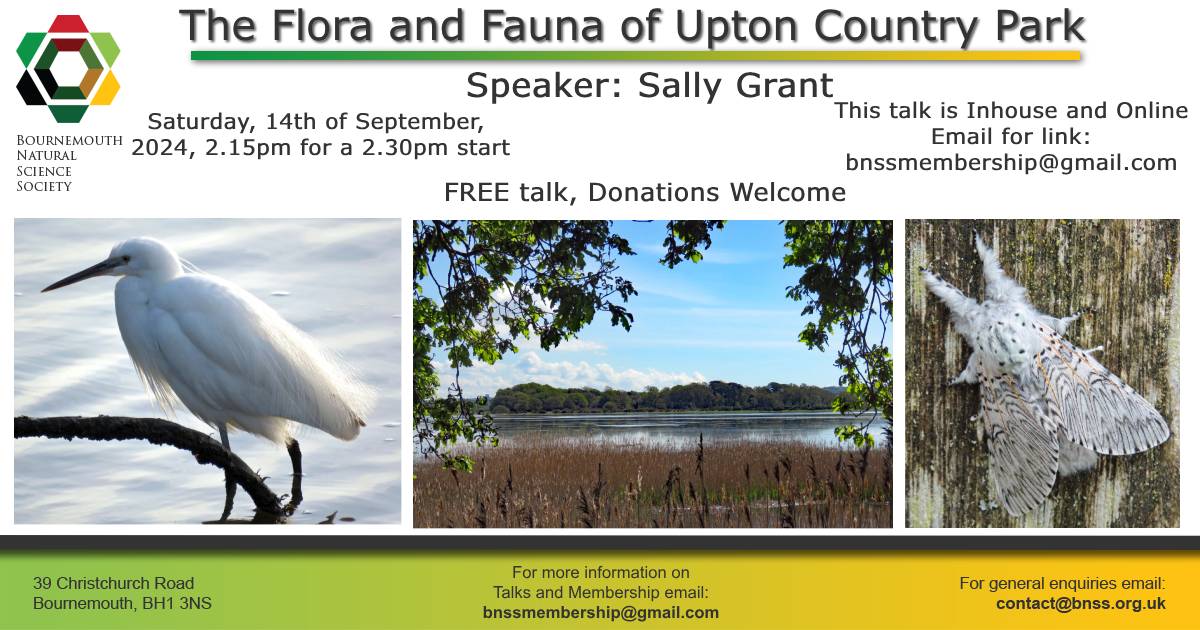 Bournemouth Natural Science Society & Museum (@bnss1) on Twitter photo 